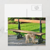 Vermisst Postkarte (Vorne/Hinten)