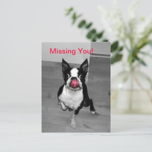 Vermisst Postkarte (Stehend Vorderseite)