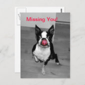 Vermisst Postkarte (Vorne/Hinten)