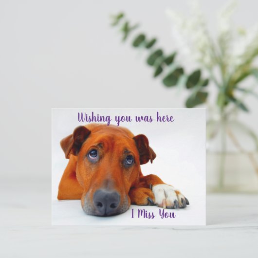 Vermisst Postkarte (Stehend Vorderseite)