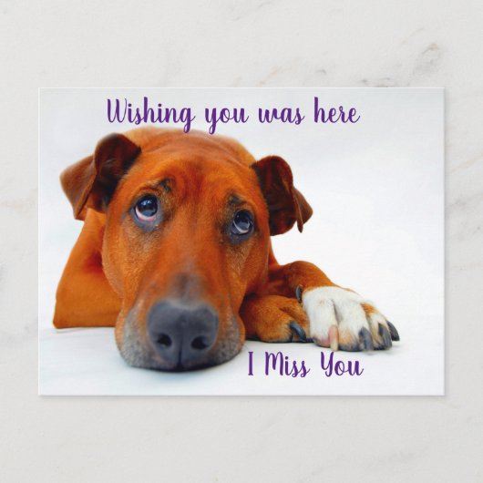 Vermisst Postkarte (Vorderseite)