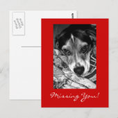 Vermisst! Postkarte (Vorne/Hinten)