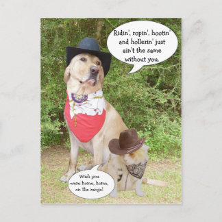 Vermisst... Postkarte