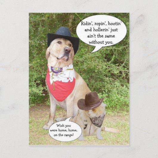 Vermisst... Postkarte (Vorderseite)