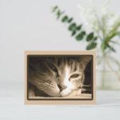 Vermisst Postkarte (Stehend Vorderseite)