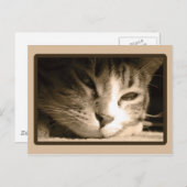 Vermisst Postkarte (Vorne/Hinten)