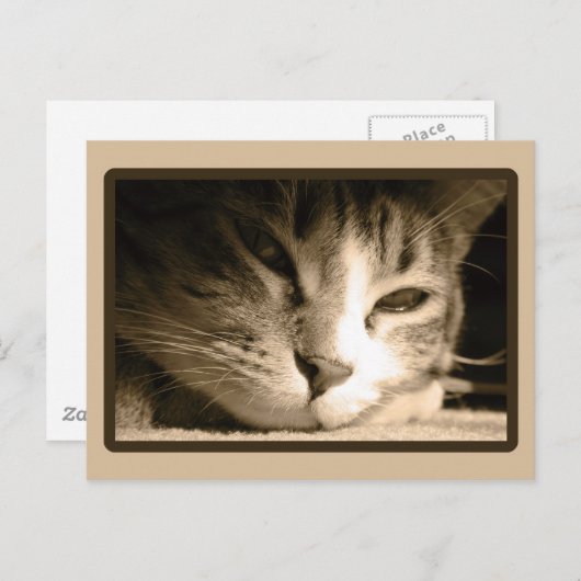 Vermisst Postkarte (Vorne/Hinten)