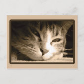 Vermisst Postkarte (Vorderseite)