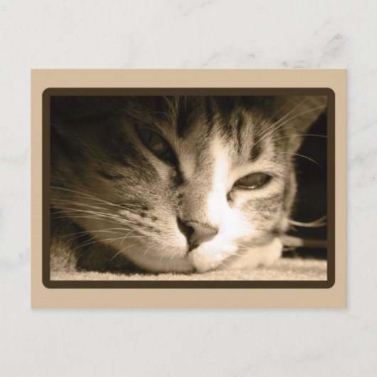 Vermisst Postkarte (Vorderseite)