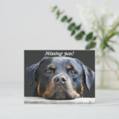 Vermisst! Postkarte (Stehend Vorderseite)