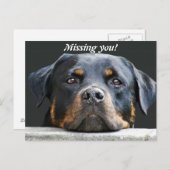 Vermisst! Postkarte (Vorne/Hinten)