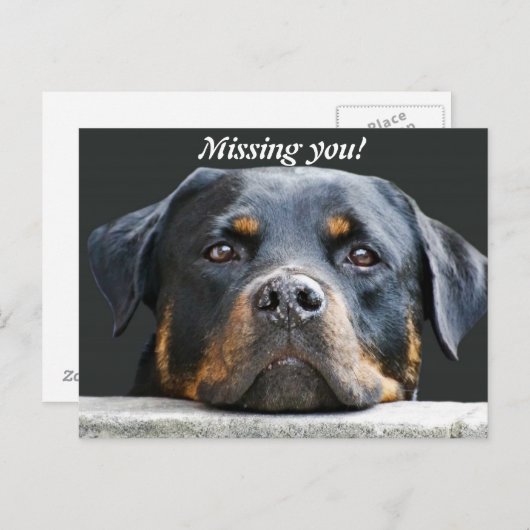 Vermisst! Postkarte (Vorne/Hinten)