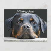 Vermisst! Postkarte (Vorderseite)