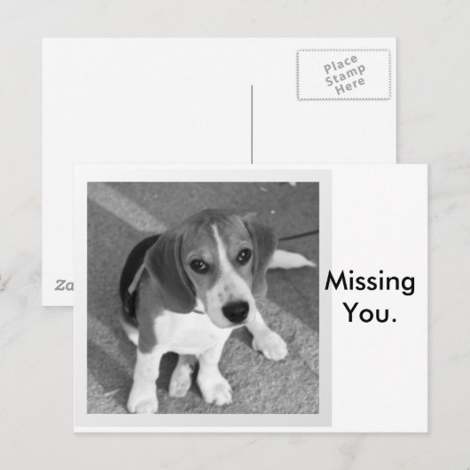 Vermisst Postkarte (Vorne/Hinten)