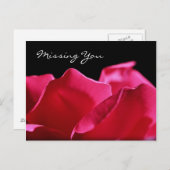 Vermisst rosa Rosenblätter Postkarte (Vorne/Hinten)