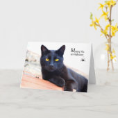 Vermisst Sie auf Halloween, schwarze Katze mit Karte (Gelbe Blume)