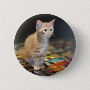 Vermisst Sie Button