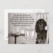 Vermisst Sie: Eine Cavalier KIng Charles Spaniel C Postkarte (Vorne/Hinten)