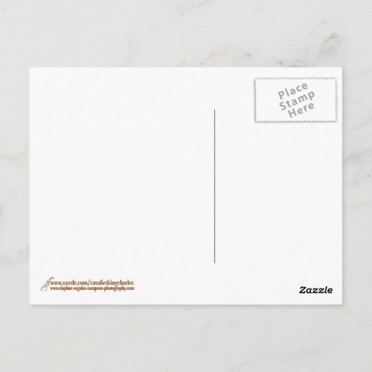 Vermisst Sie: Eine Cavalier KIng Charles Spaniel C Postkarte (Rückseite)