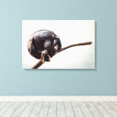 Vermisst Sie einsam Urban Chimpanze Affe Leinwanddruck (Insitu (Holzboden))