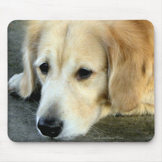 Vermisst Sie/goldener Retriever-Geschenk Mousepad (Vorne)
