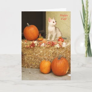 Vermisst Sie Halloween-Kätzchen u. Kürbis-Karte Karte