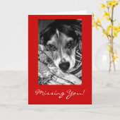 Vermisst Sie! Karte (Gelbe Blume)