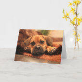 Vermisst Sie Karte (Gelbe Blume)