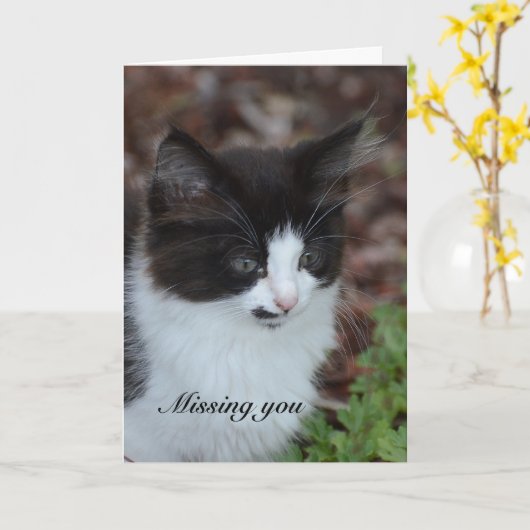Vermisst Sie Kitten Karte (Gelbe Blume)