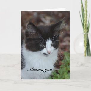 Vermisst Sie Kitten Karte