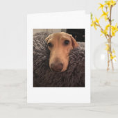 Vermisst Sie MillieGram Karte (Gelbe Blume)