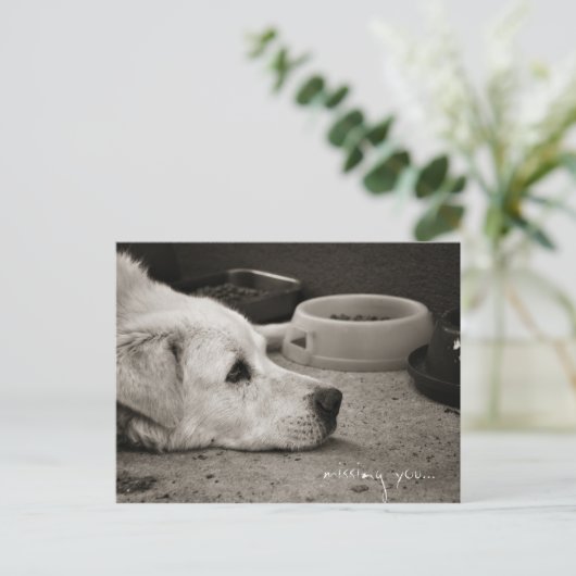 Vermisst Sie - Postkarte (Stehend Vorderseite)