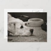 Vermisst Sie - Postkarte (Vorne/Hinten)