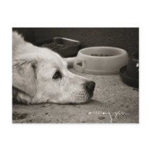 Vermisst Sie - Postkarte