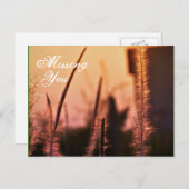 Vermisst Sie - Postkarten (Vorne/Hinten)