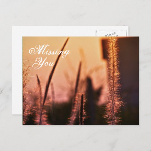 Vermisst Sie - Postkarten (Vorne/Hinten)