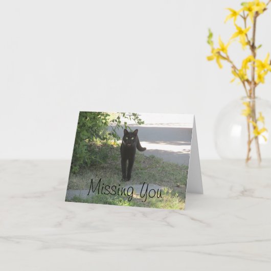 Vermisst Sie schwarze Katze in einem Garten Karte (Gelbe Blume)
