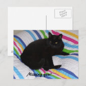 Vermisst Sie - Schwarze Katze Postkarte (Vorne/Hinten)