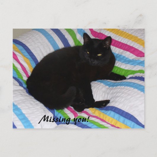 Vermisst Sie - Schwarze Katze Postkarte (Vorderseite)