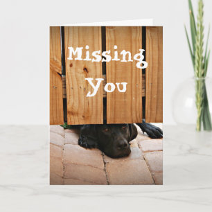 Vermisst Sie (schwarzer Labrador) Karte