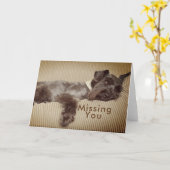 Vermisst Sie SchwarzesminiaturSchnauzer Karte (Gelbe Blume)