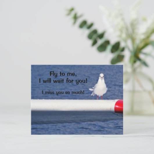Vermisst Sie - Seagull Postcard Postkarte (Stehend Vorderseite)