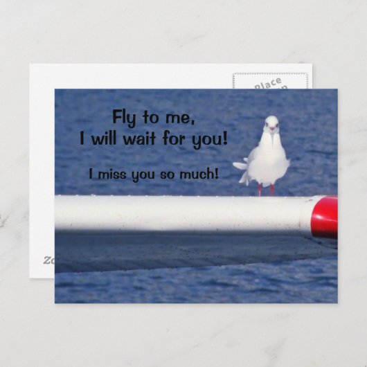 Vermisst Sie - Seagull Postcard Postkarte (Vorne/Hinten)