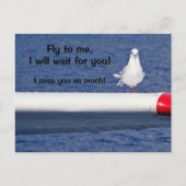 Vermisst Sie - Seagull Postcard Postkarte (Vorderseite)