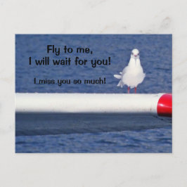 Vermisst Sie - Seagull Postcard Postkarte