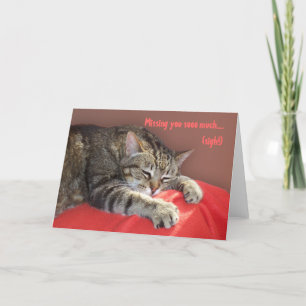 Vermisst Sie soviel Karte