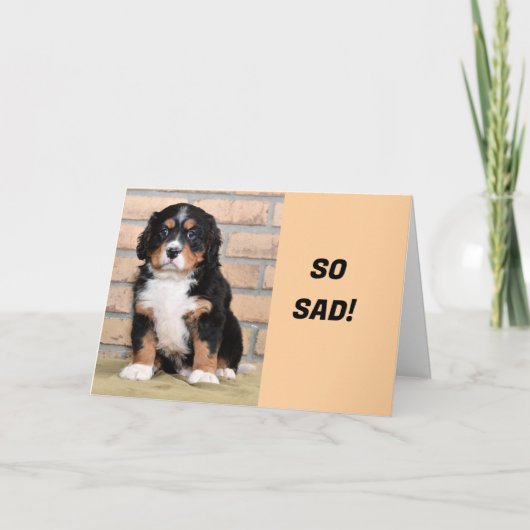 "VERMISST U SEIT U VERBUNDEN" FEIERTAGSKARTE (Vorderseite)