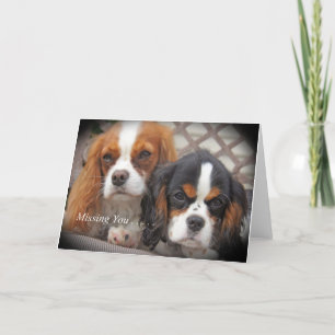 Vermisst You Card Cavalier King Charles Karte