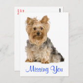 Vermisst You Yorkshire Terrier Puppy Dockcard Postkarte (Vorne/Hinten)