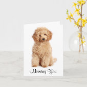 Vermisste Apricot Podle Welpen-Hundekarte Karte (Gelbe Blume)